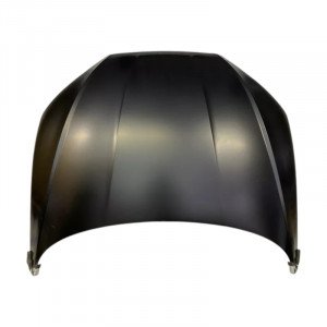 Капот AS08158318