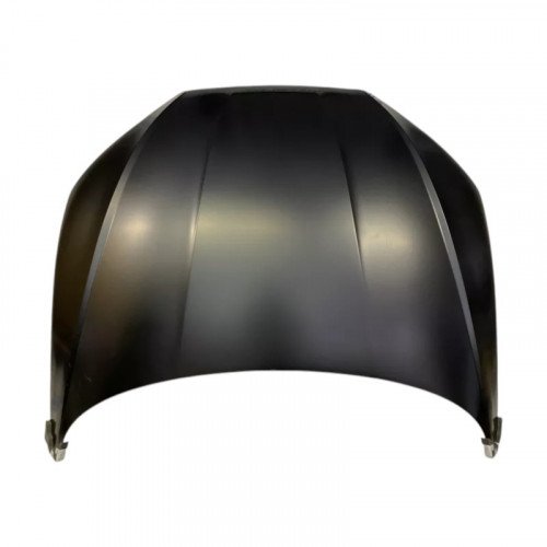 Капот AS08158319