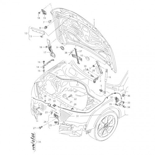 Капот AS08158346