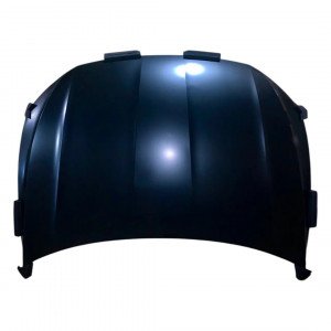 капот AS08158719