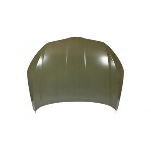 Капот AS08158863