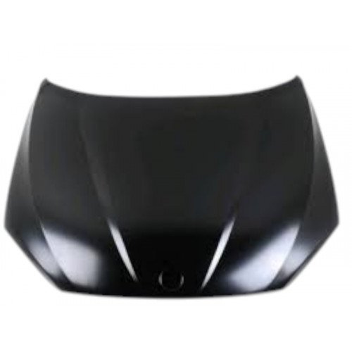 Капот AS05213998 на BMW X1 (E84) 2012-2015