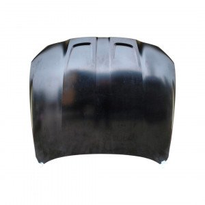 Капот AS08158893