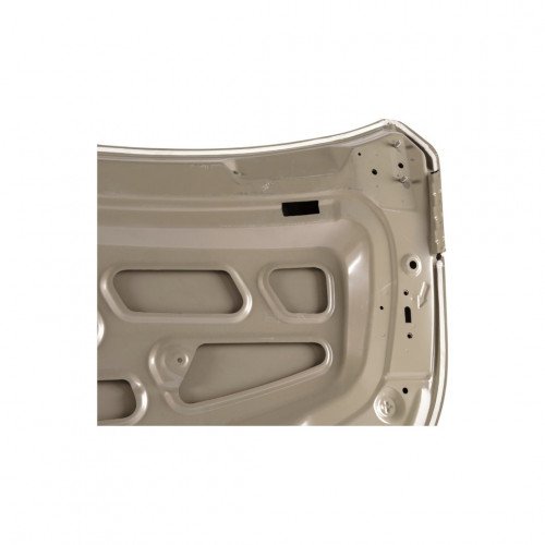 Капот AS08158566