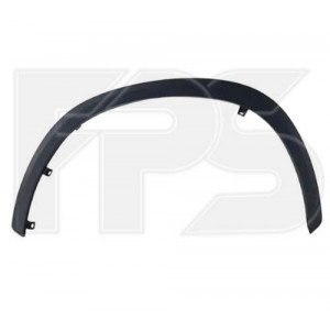 Рант крила AS08145040 на LEXUS NX 2021-