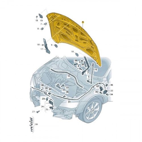 Капот AS00044931