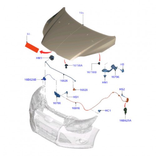 Капот AS00045816