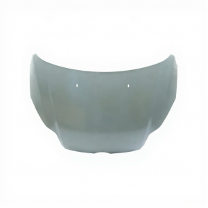 Капот AS00045816