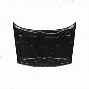 Капот AS00048864