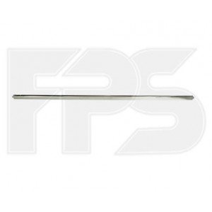 Смужка пластикова AS07356108 на VOLKSWAGEN PASSAT EUR (B7) 2011-2015