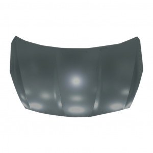 Капот AS08158236