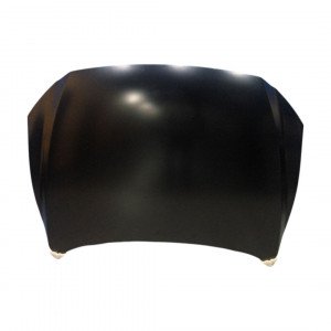 Капот AS08158368