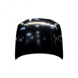 Капот AS08158787