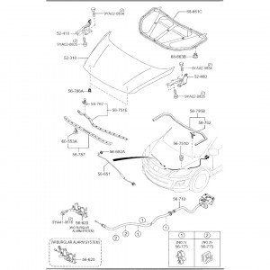 Капот AS08158905