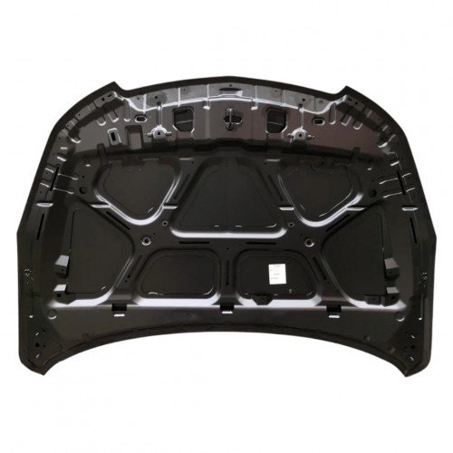 Капот AS08158556