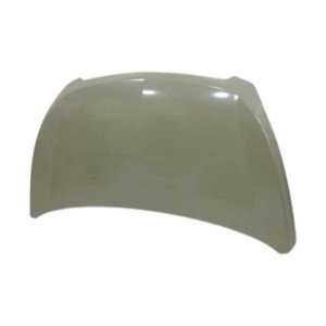 Капот AS08158565