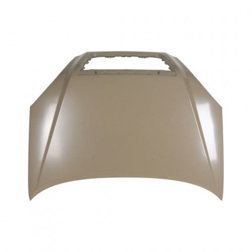 Капот AS08158594