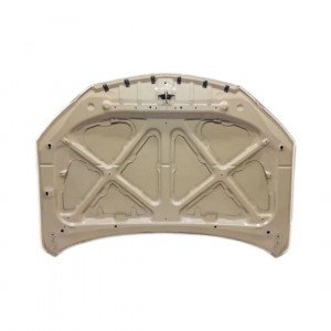 Капот AS08158765