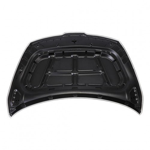 Капот AS08158581