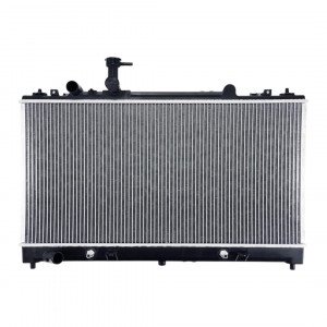 Радіатор охолодження AS08158844