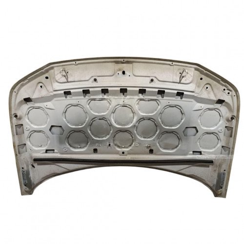 Капот AS08158424