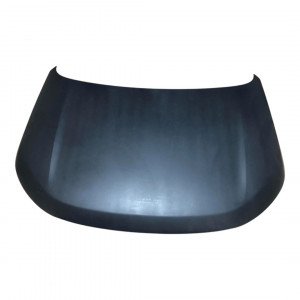 Капот AS08158435