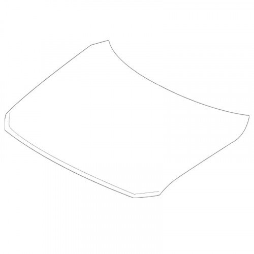 Капот AS08158219