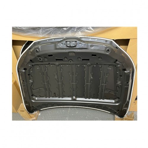 Капот AS08158519