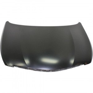 Капот AS08158552