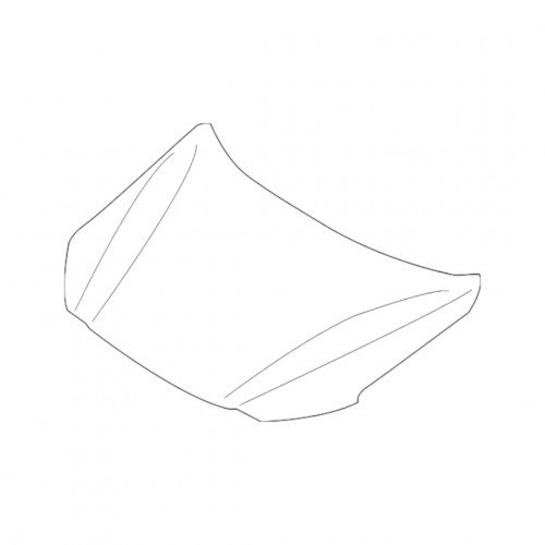 Капот AS08158707