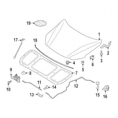 Капот AS08158736