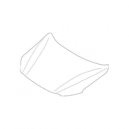 Капот AS08158736