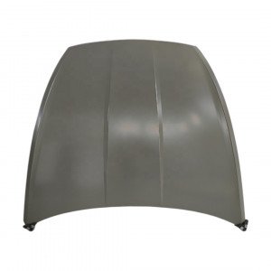 Капот AS08158737