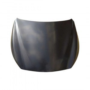 Капот AS08158623