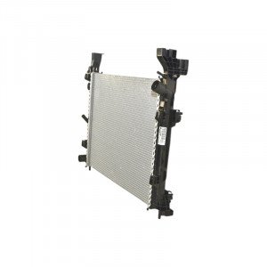 Радіатор охолодження AS00092317