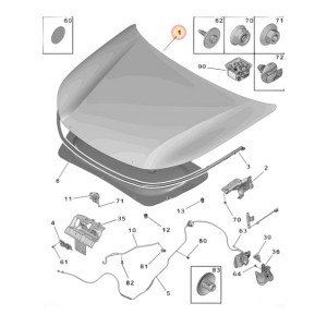 Капот AS08158754