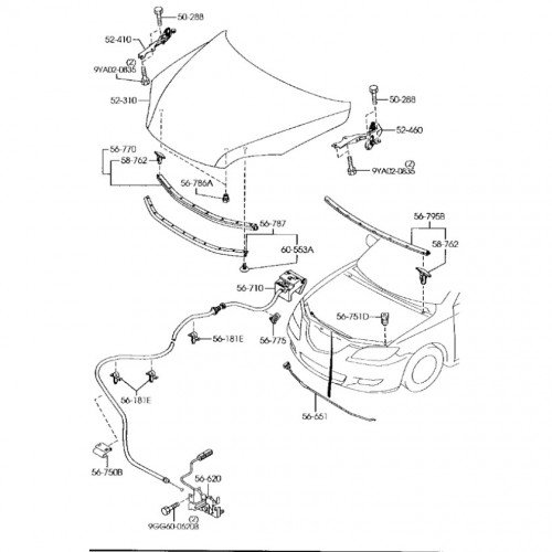 Капот AS08158242