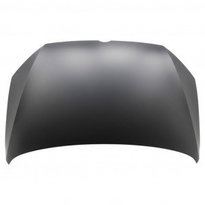 Капот AS08158263