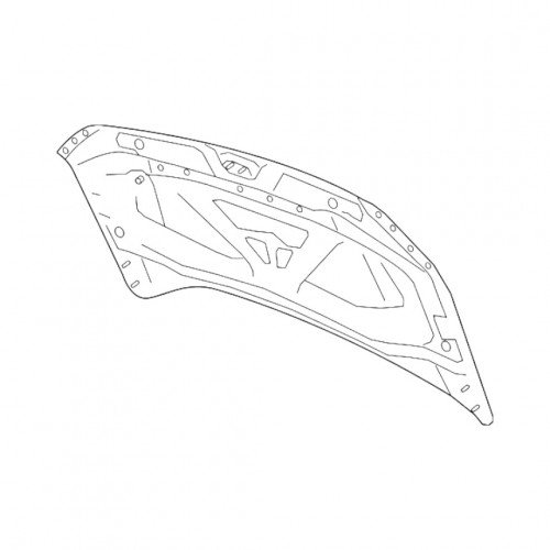 Капот AS08158400