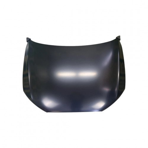 капот AS08158622