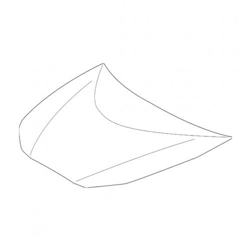 Капот AS08158786