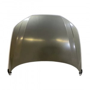 капот AS08158789