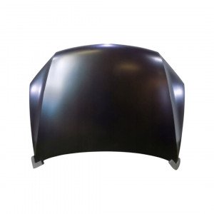 капот AS08158790