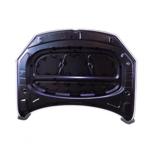 капот AS08158790