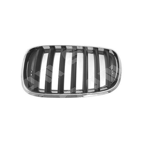 Решітка радіатора AS07299363 на BMW X5 (E70) 2006-2010