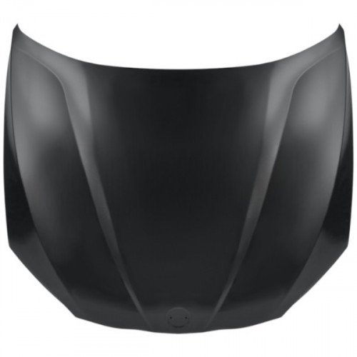 Капот AS08158533