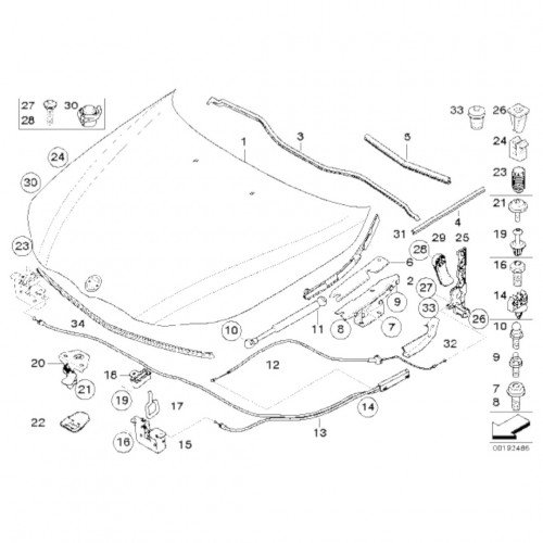 Капот AS08158614