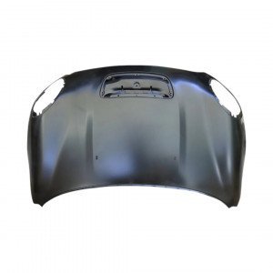 Капот AS08158621