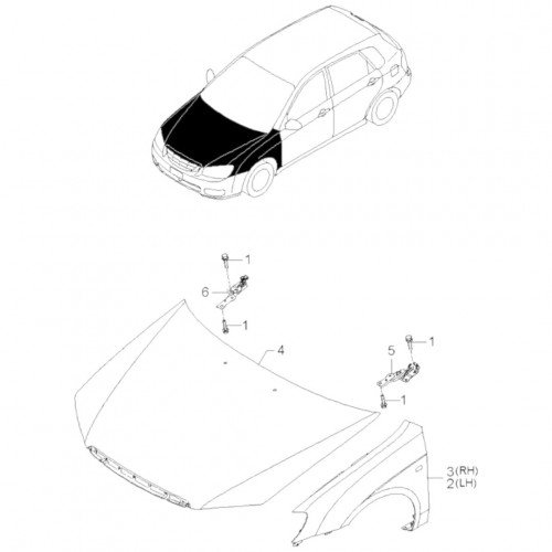 Капот AS08158682
