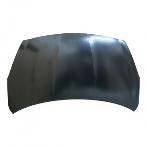 Капот AS08158711